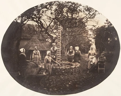 [Women Stacking Carrots]