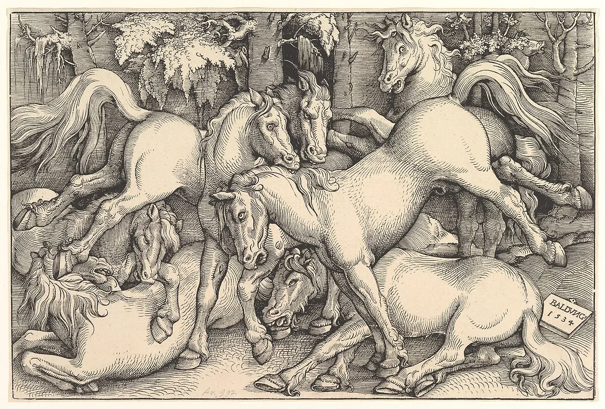 Group of Seven Horses — Hans Baldung (called Hans Baldung Grien)