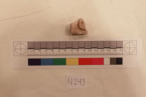 Stucco Fragment