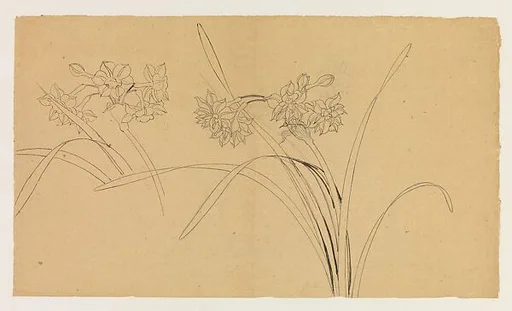 現代 謝稚柳 水仙圖 鏡片|Narcissus