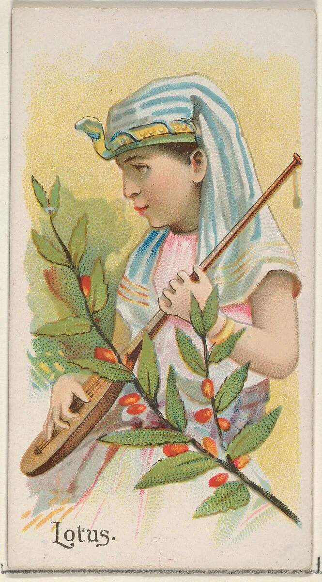 Lotus, from the Fruits series (N12) for Allen & Ginter Cigarettes Brands — Allen & Ginter|George S. Harris & Sons