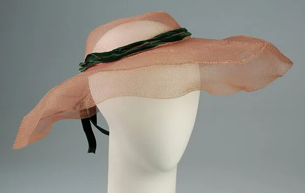 Picture hat — Sally Victor