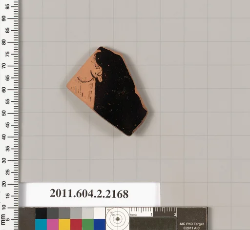 Terracotta fragment of a pot; unglazed on the inside