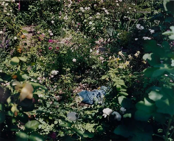 Untitled, New York — Mitch Epstein
