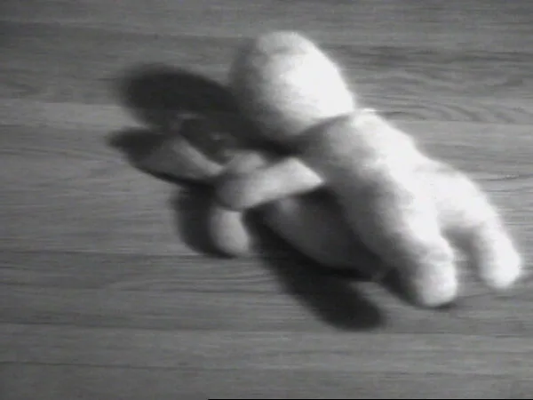 Caspar — William Wegman