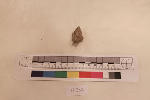Stucco Fragment