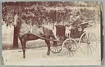 [Jessie Beach Crane (Mrs. Charles Samuel Crane) and Unidentified Woman, Possibly Susan Ellen Lane Beach, in Horse-Drawn Carriage, St. Louis, Missouri]