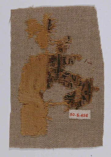 Textile Fragment
