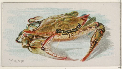 Crab, from the Fish from American Waters series (N8) for Allen & Ginter Cigarettes Brands