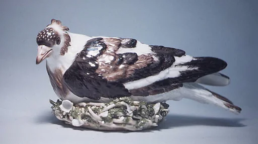 Nesting pigeon