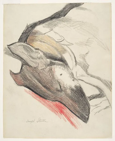 Sleeping Dog — Joseph Stella