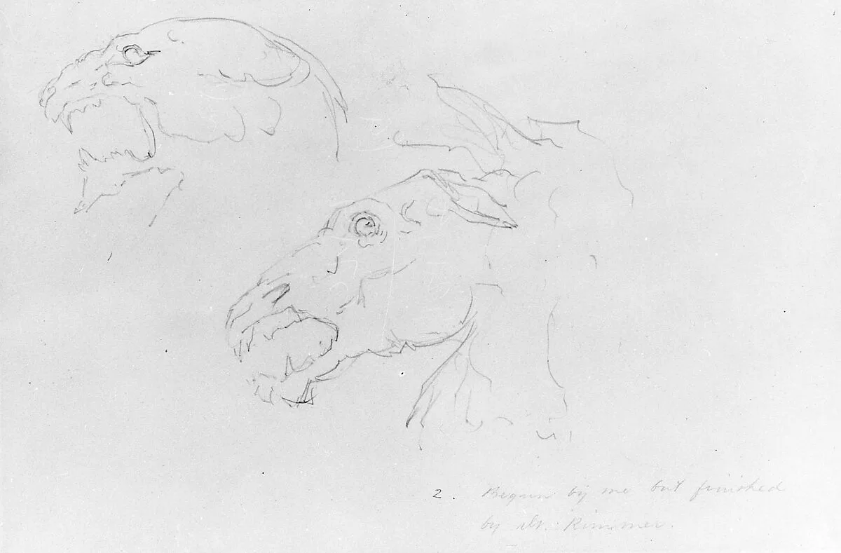 Sketches of Two Animal Skulls — William Rimmer