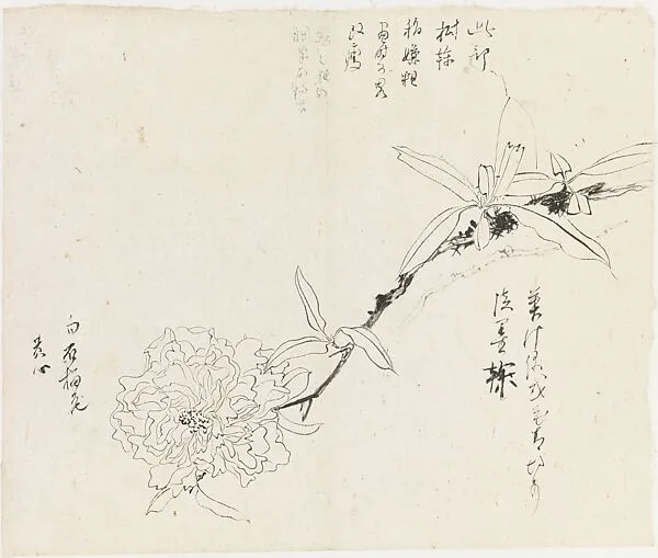 Untitled — Xie Zhiliu