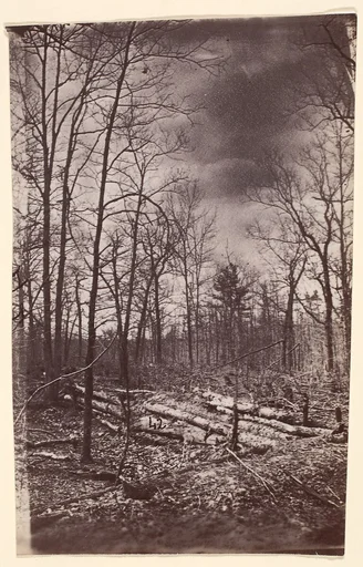 [The Wilderness Battlefield]