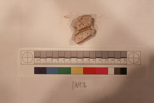 Stucco Fragment
