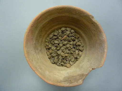 Bowl of Raisins