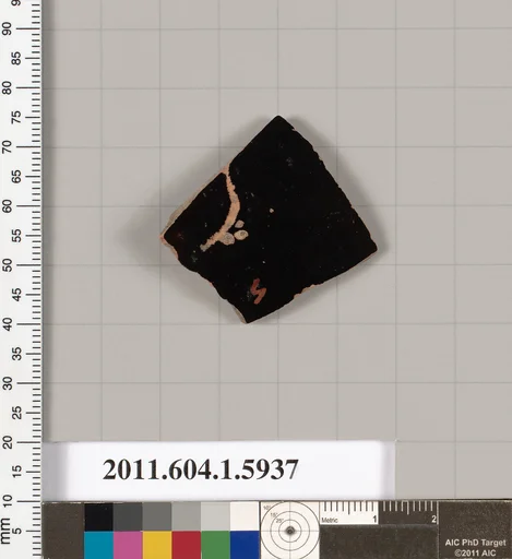 Terracotta fragments of a kylix?