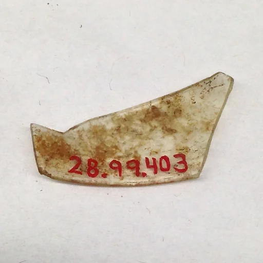 Fragment