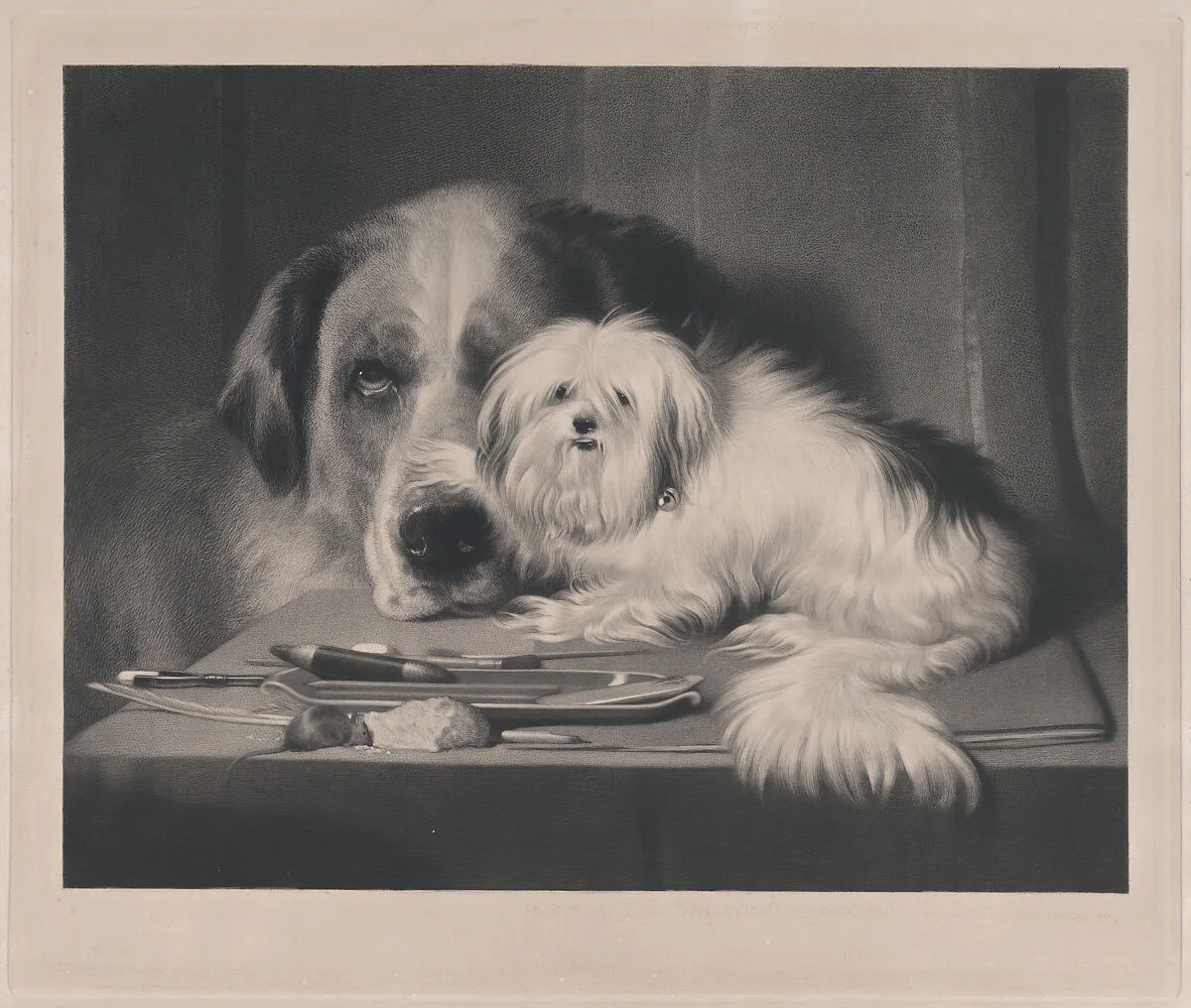 The Lion-Dog of Malta—The Last of His Tribe — Thomas McLean|Sir Edwin Henry Landseer|Thomas Landseer|Goupil et Vibert|Victoria, Duchess of Kent|Queen Victoria