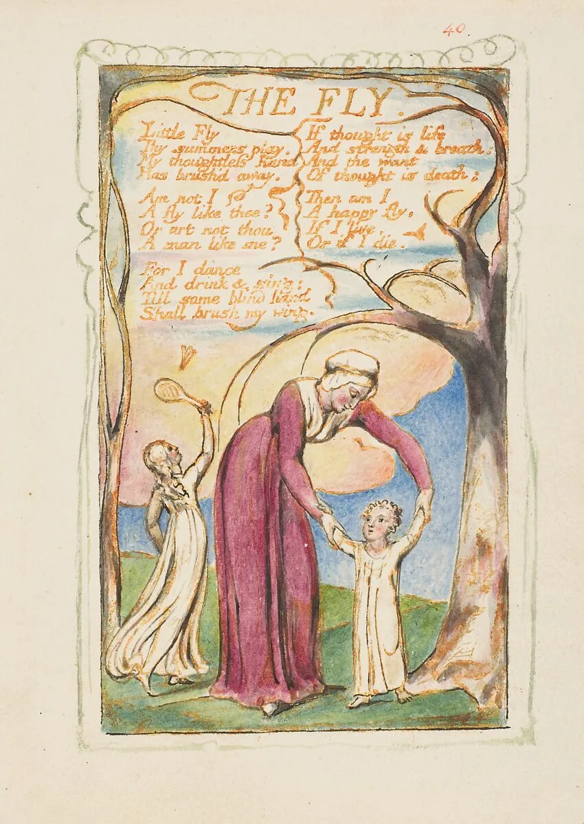 Songs of Experience: The Fly — William Blake