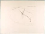 [Sketch of Female Buttocks]
