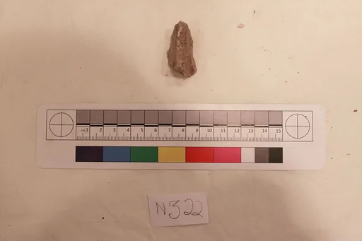 Stucco Fragment