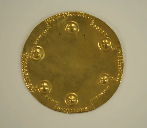 Pectoral Disk