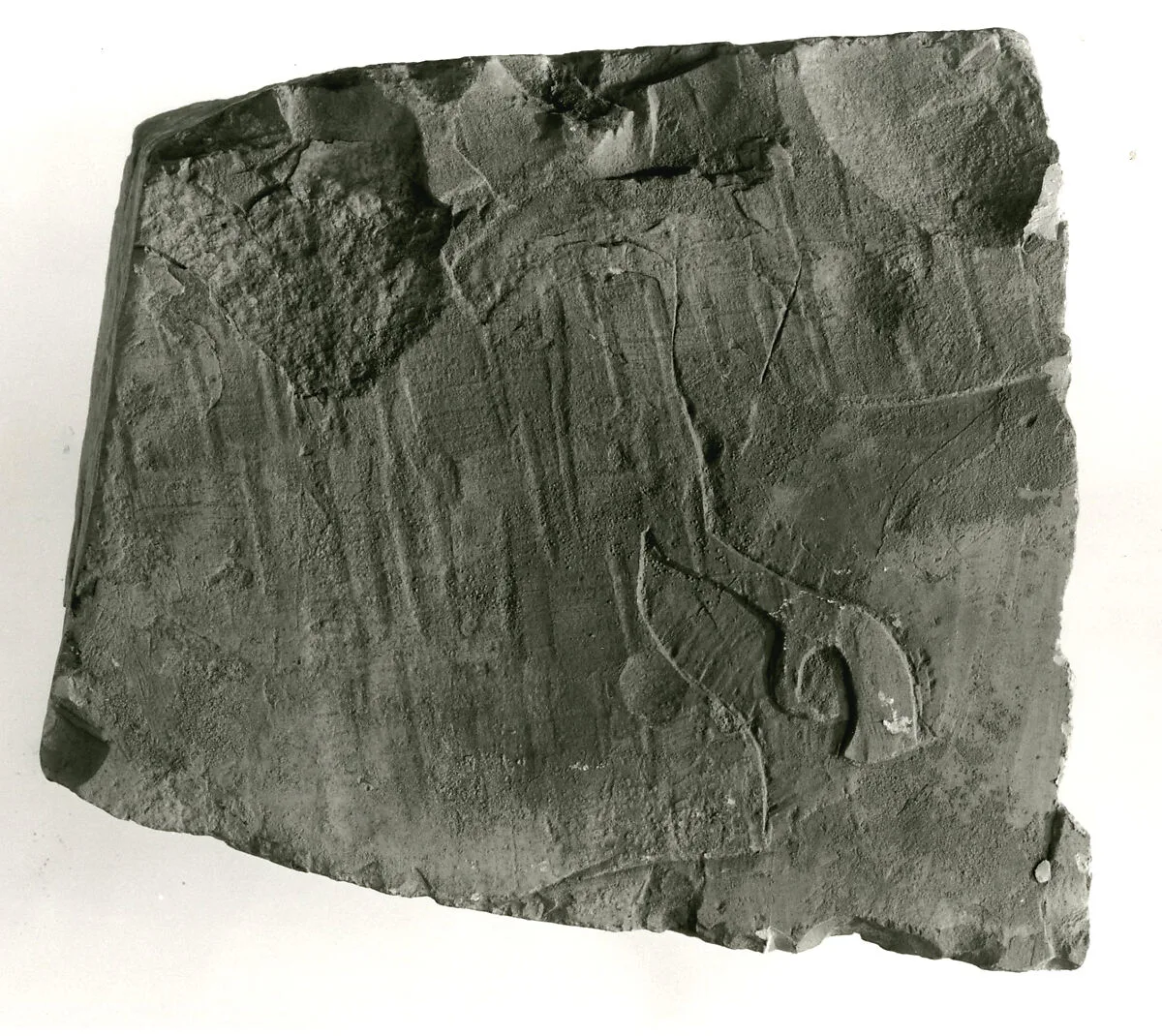 Raised relief fragment — Unknown