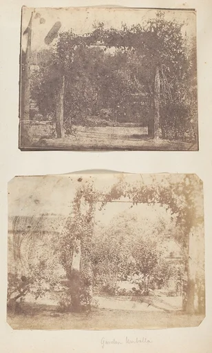 [Garden at Umballa]