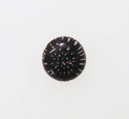 Millefiori pinhead