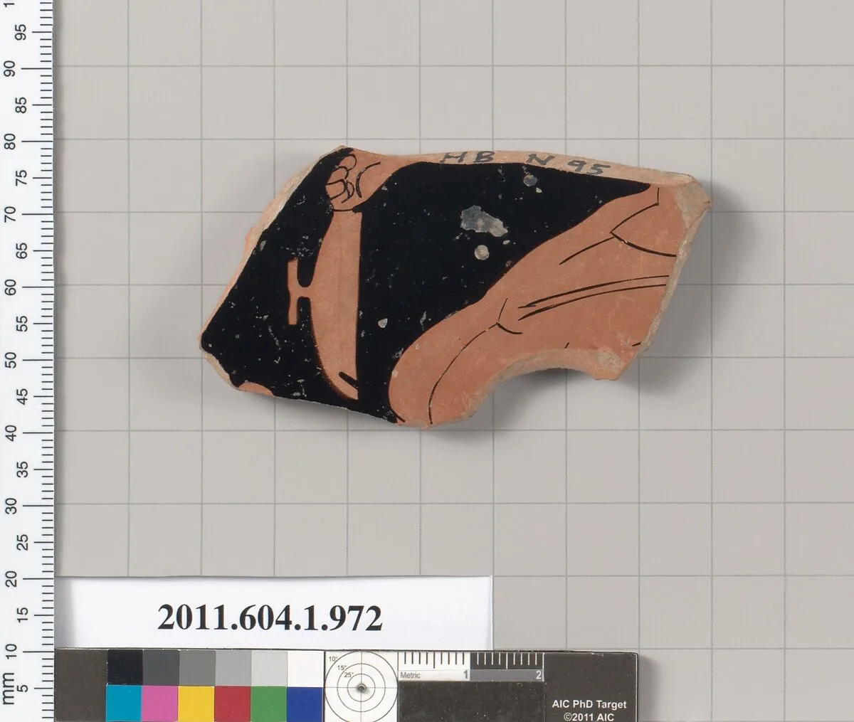 Terracotta fragment of a kylix (drinking cup) — Unknown