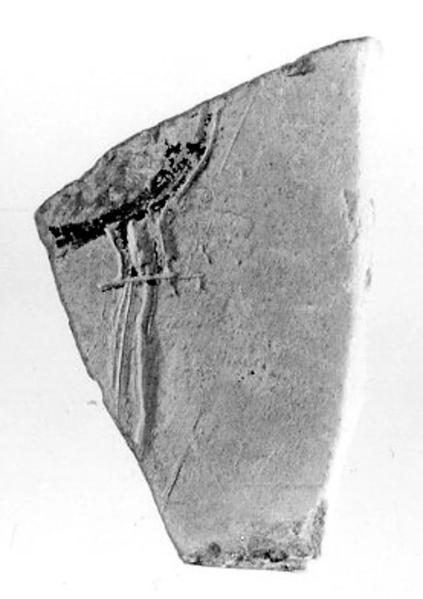 Relief fragment, tomb of Meketre — Unknown