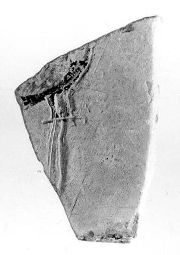 Relief fragment, tomb of Meketre