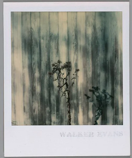 [Shrub in Front of Barn Facade]