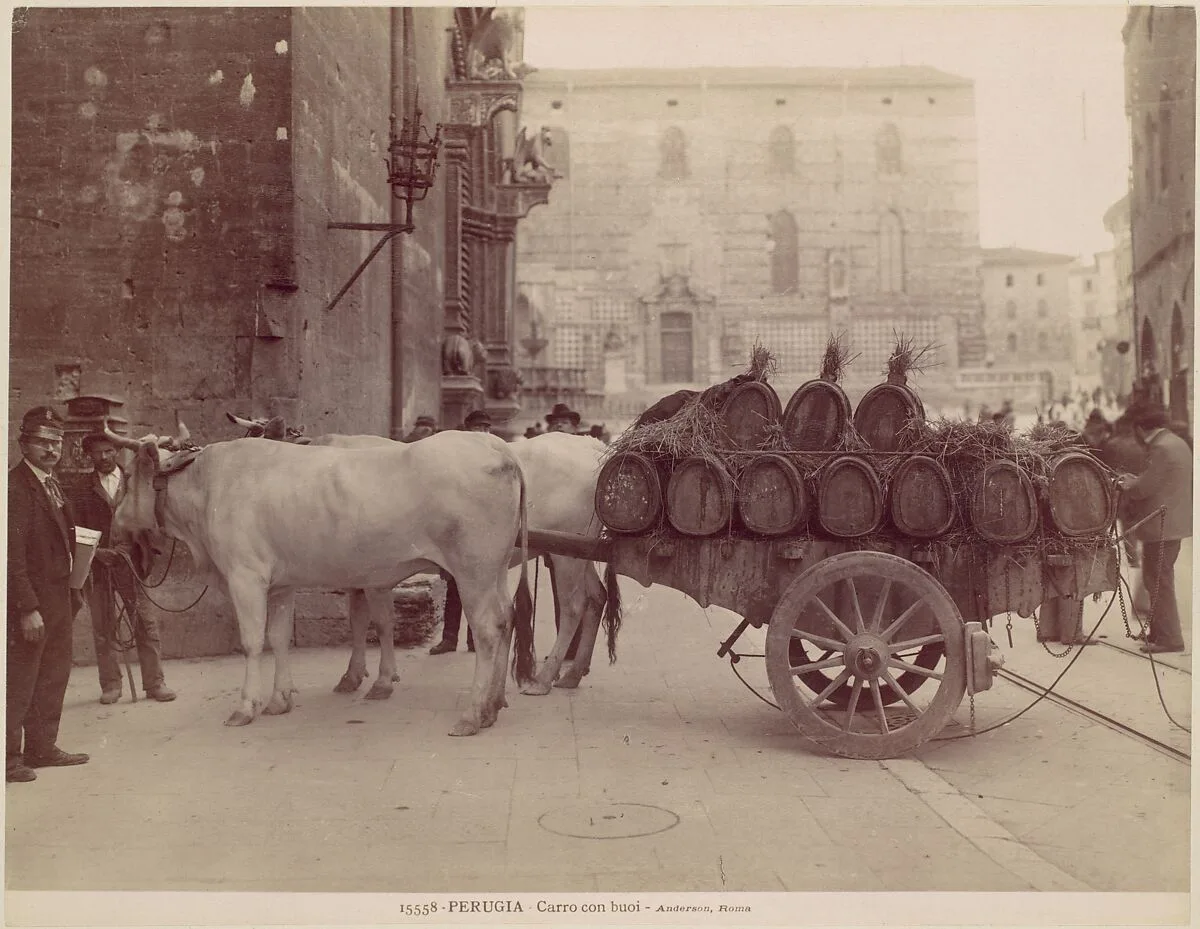 Carro con buoi, Perugia — James Anderson