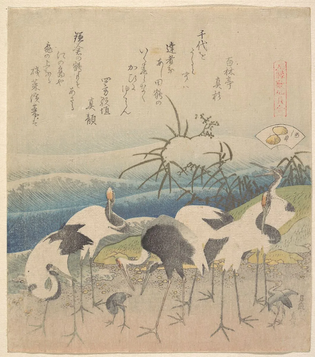 元禄歌仙貝合|Ashi Clam, from the series "Genroku Kasen Kai-awase" — Katsushika Hokusai