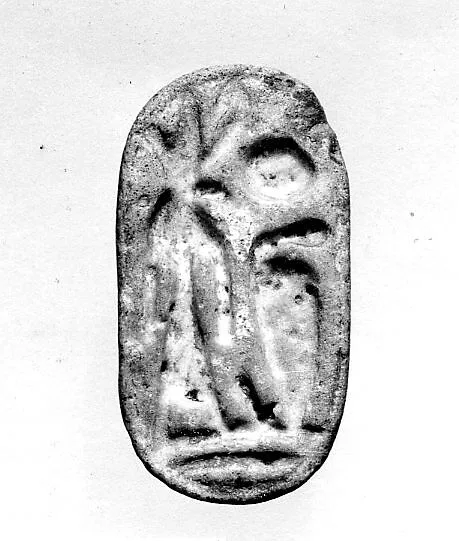 Seal — Unknown