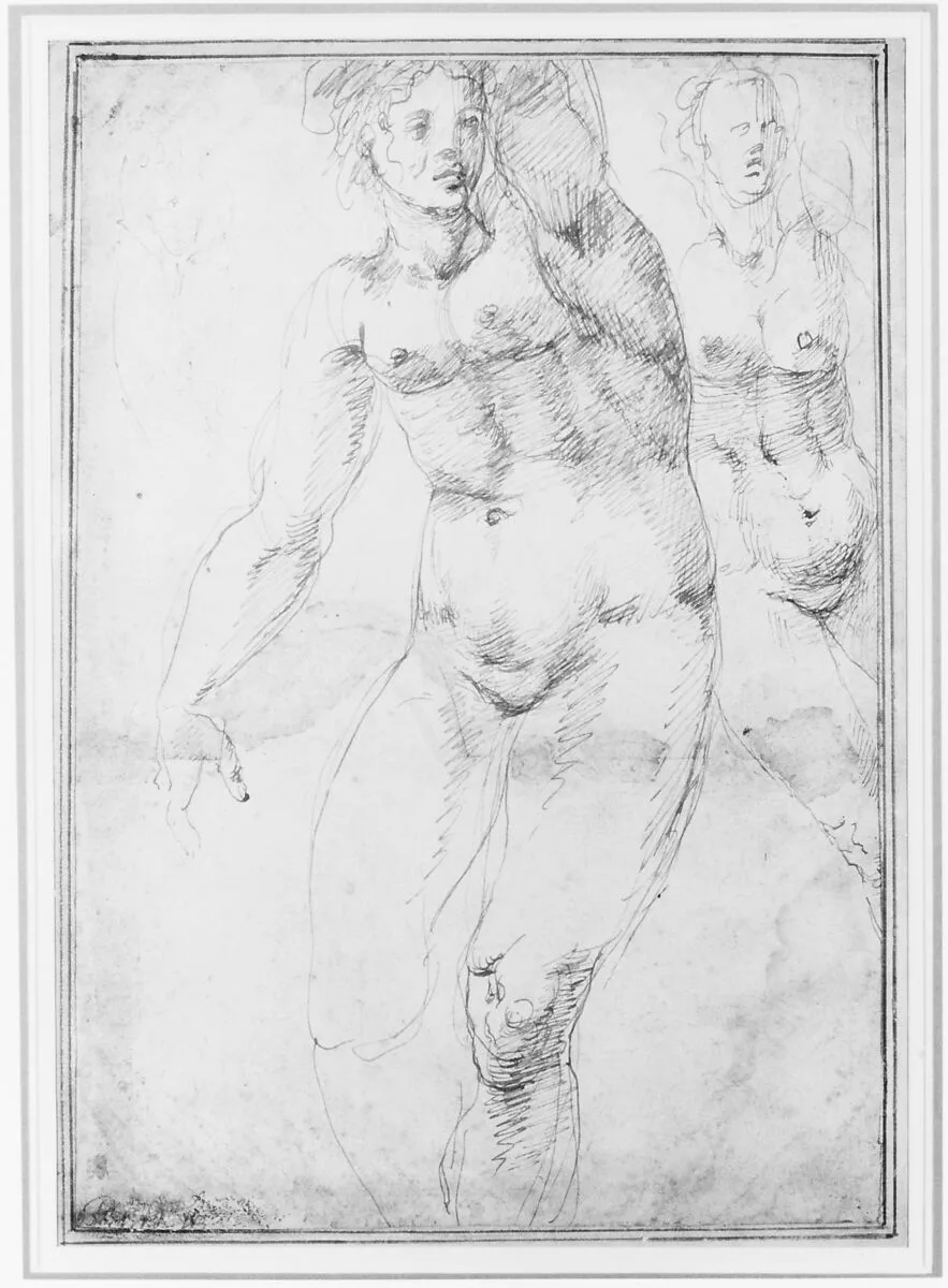 Studies for a Nude Woman Seen from the Front (recto); Four Standing Male Nudes, Venus, and Cupid (verso) — Anonymous, Italian, Florentine, 16th century