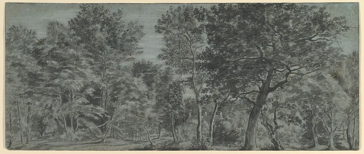 View of a Forest — Joris Abrahamsz. van der Haagen