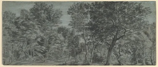 View of a Forest