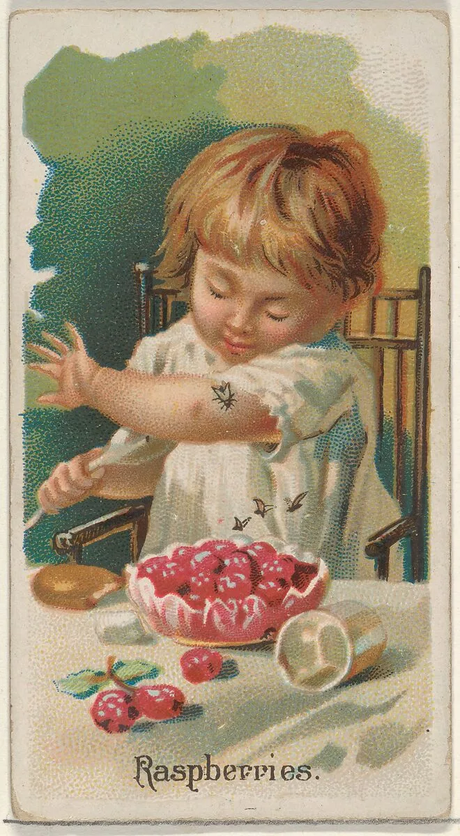 Raspberries, from the Fruits series (N12) for Allen & Ginter Cigarettes Brands — Allen & Ginter|George S. Harris & Sons