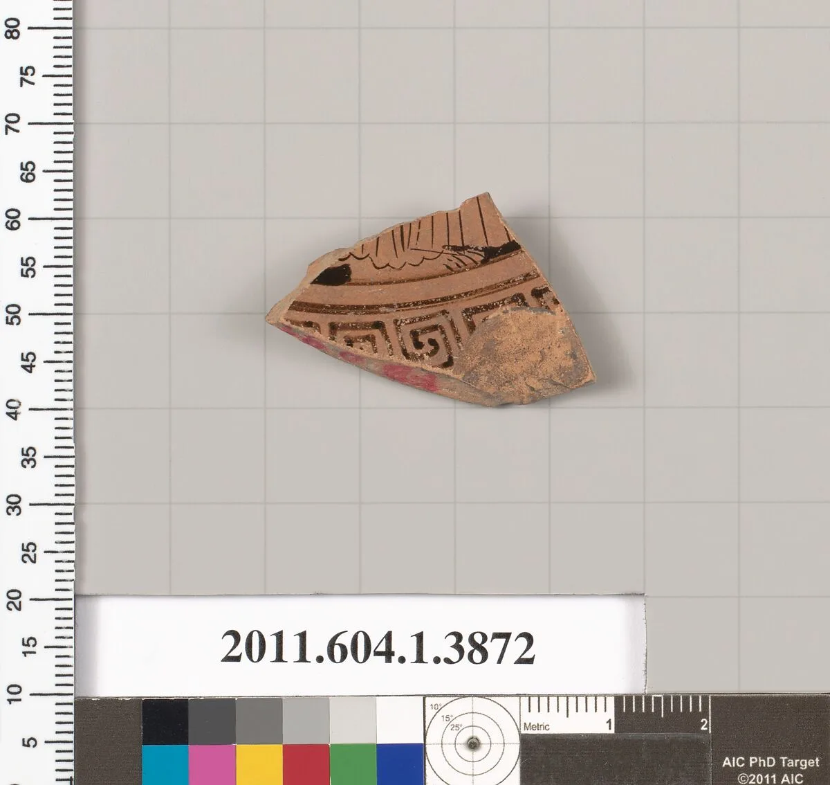 Terracotta fragment of a kylix (drinking cup) — Unknown