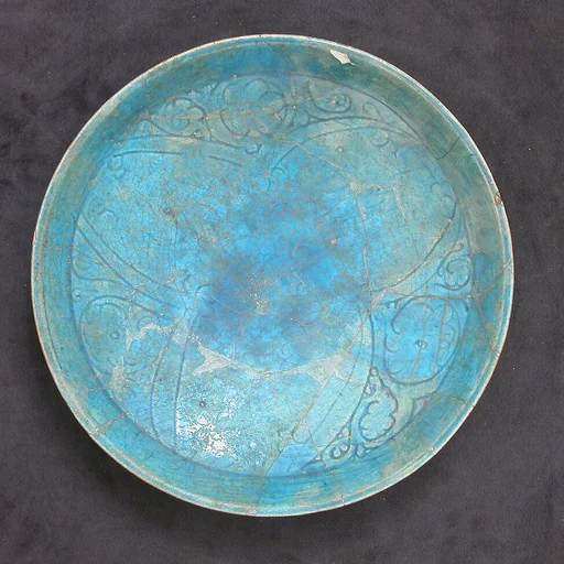 Dish