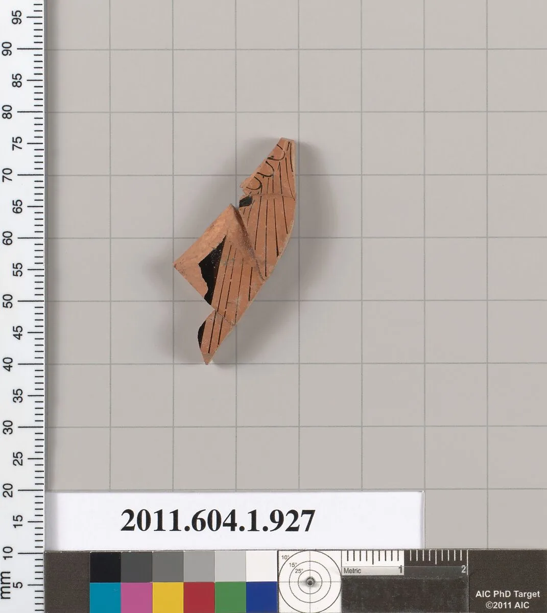 Terracotta fragment of a kylix (drinking cup) — Unknown