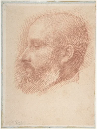 Study of a Head of a Man