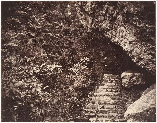 [Path to Fangguangyan Monastery, Fujian]