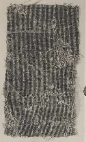 Carpet Fragment — Unknown
