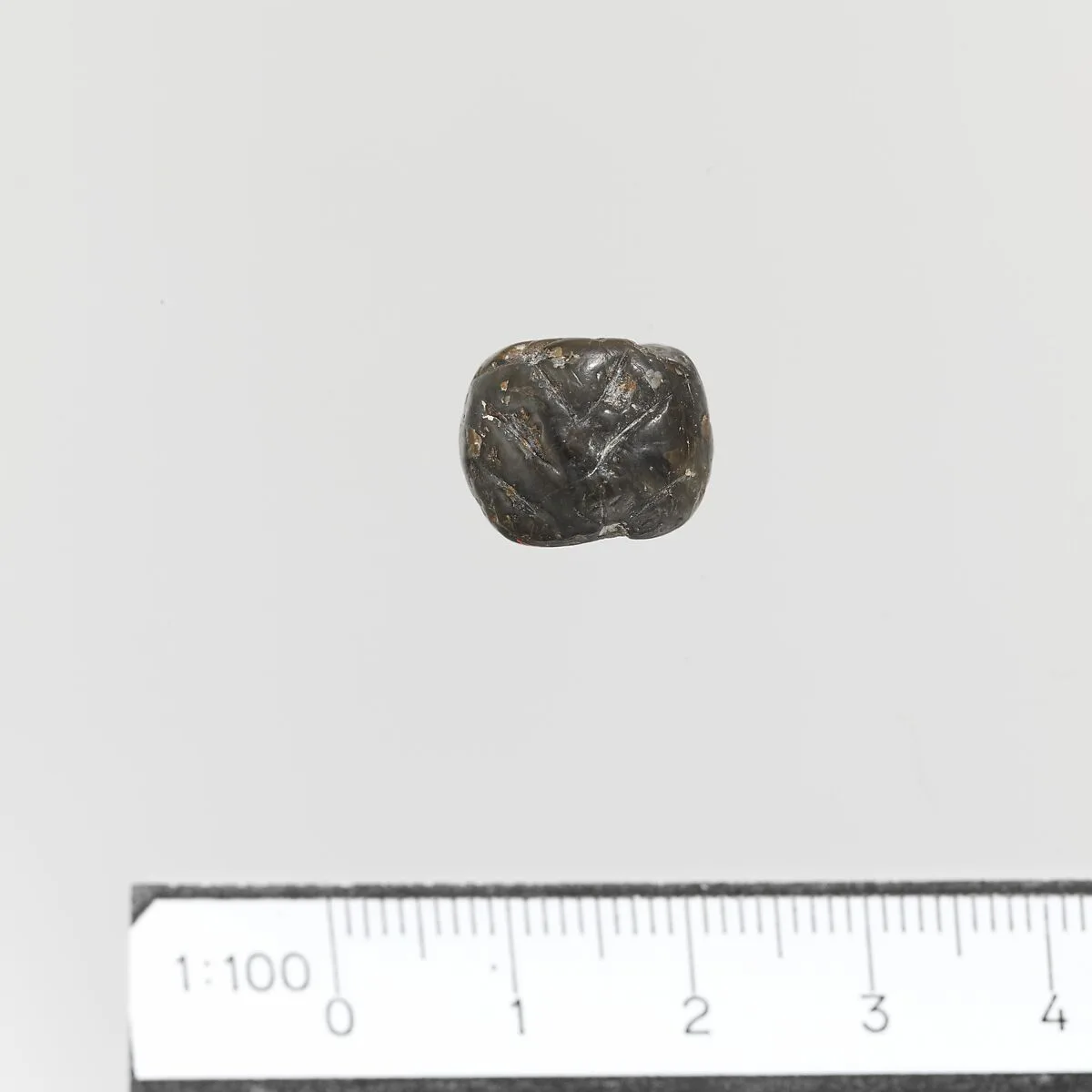Seal — Unknown