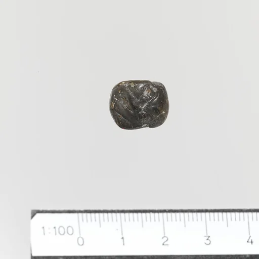 Seal