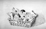 Peaches in a Basket